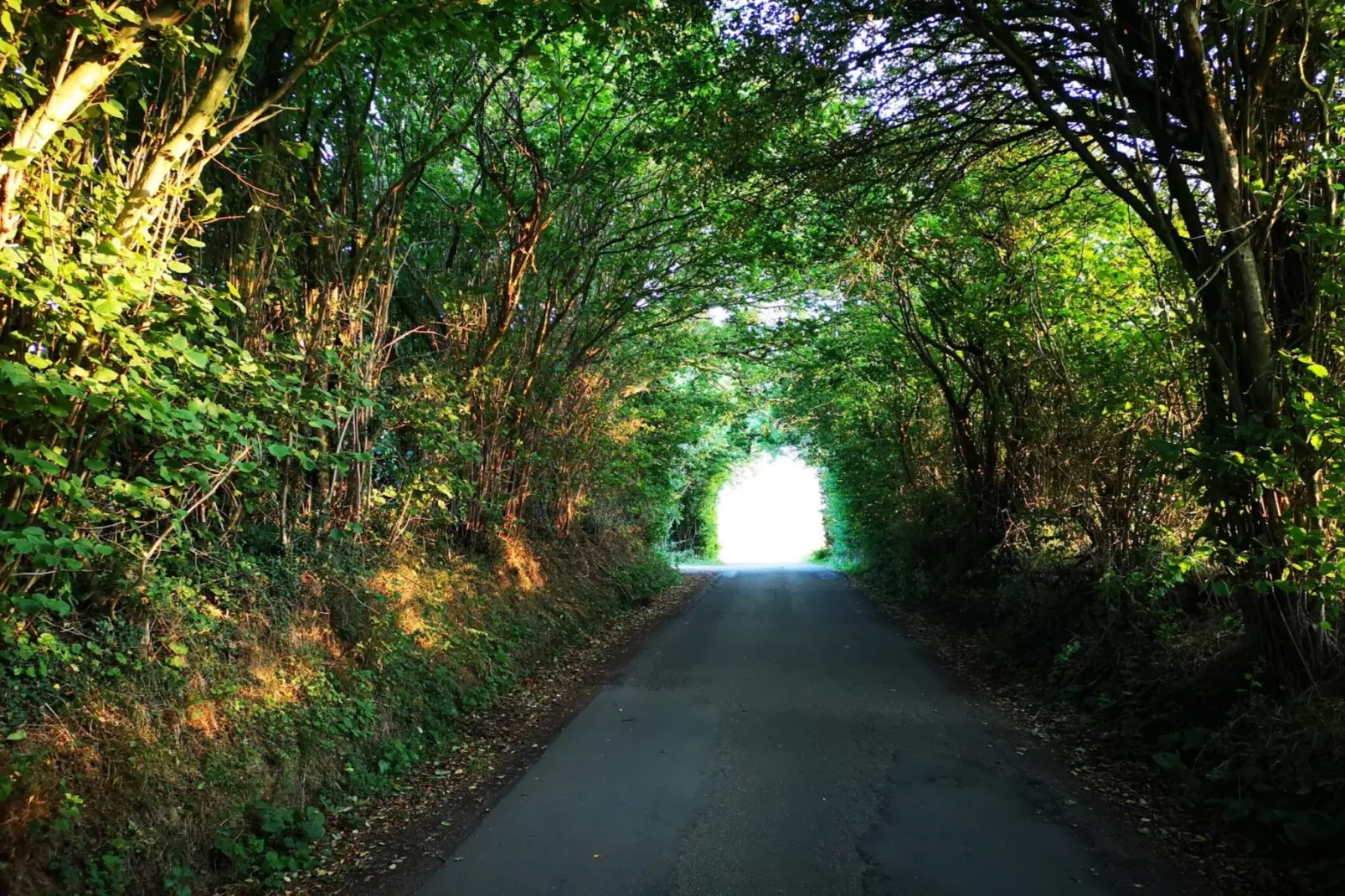 6 Personen Ferienhaus in Hejls - Nicht zugeordnet