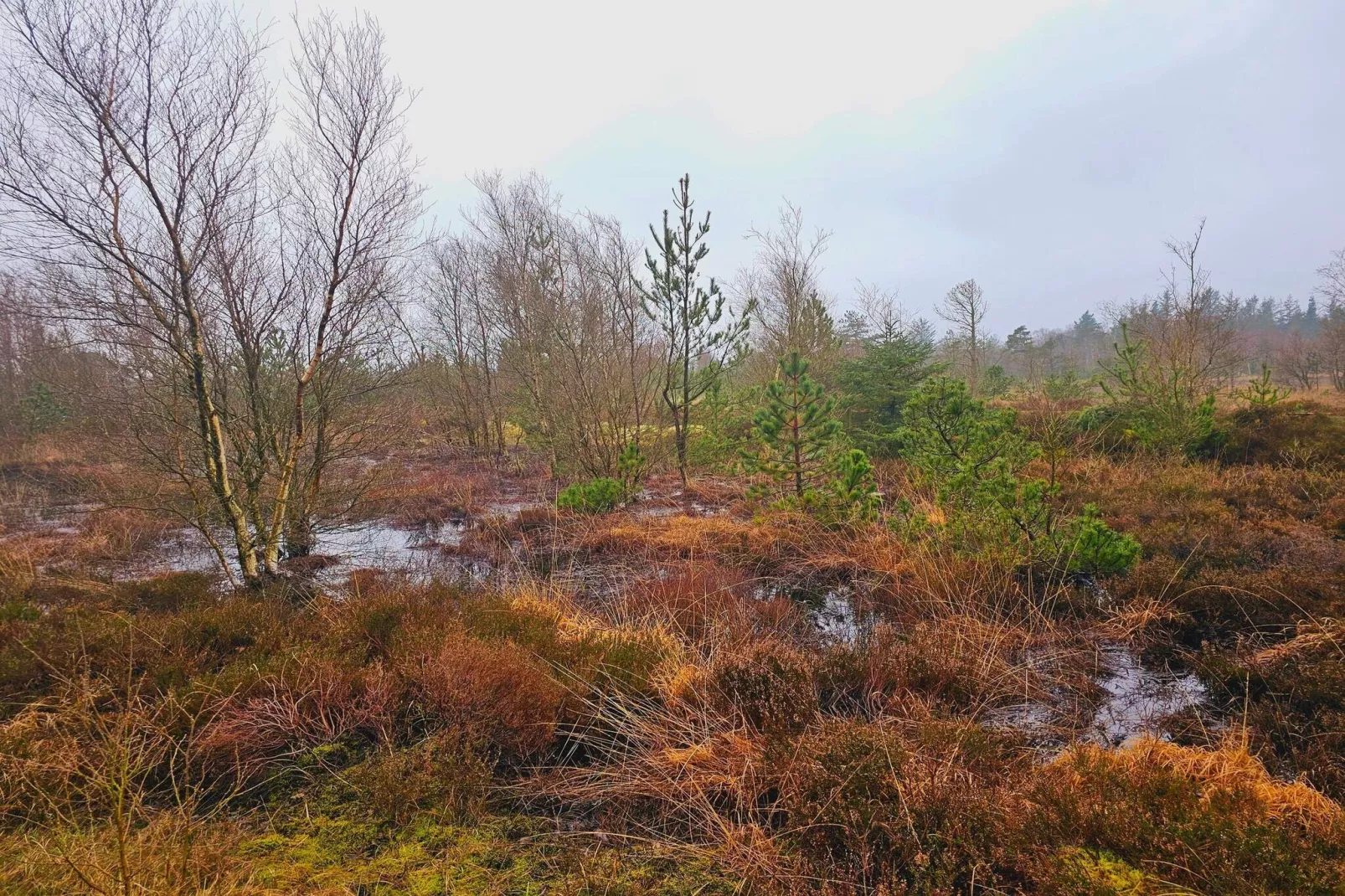 4 person holiday home in Nørre Nebel-Untagged