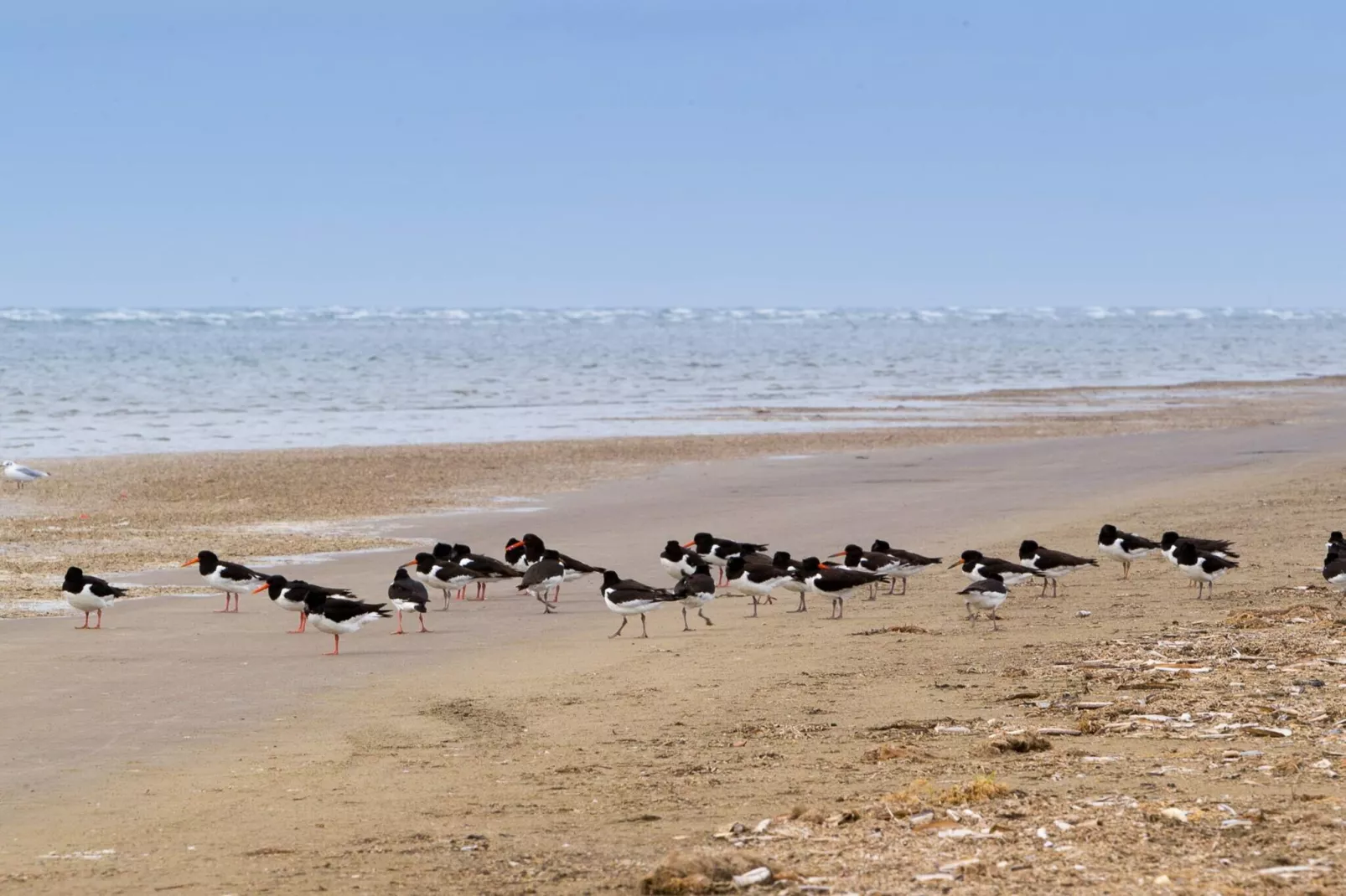 5 person holiday home in Fanø