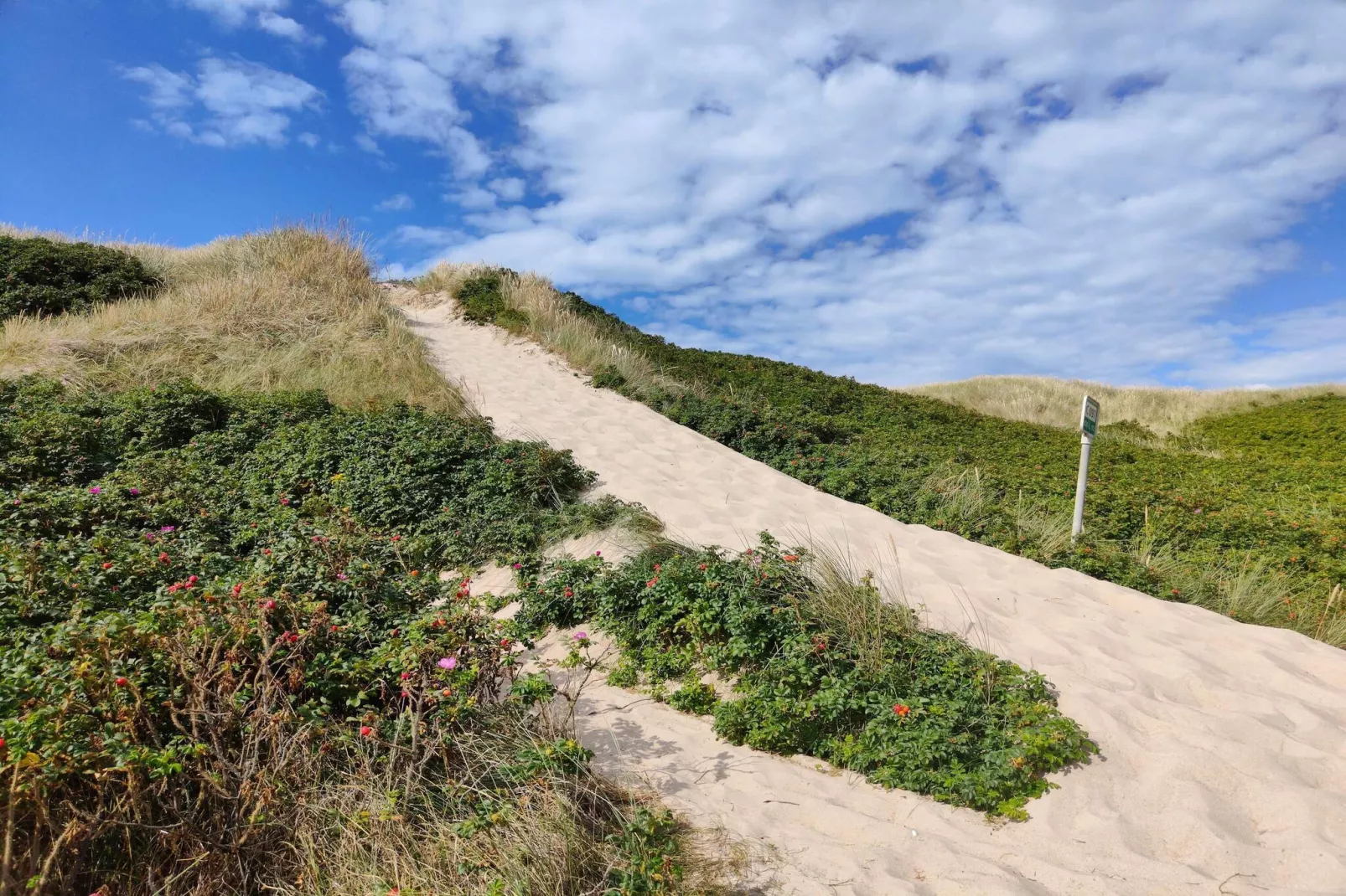 Maison de vacances pour 6 a Ringkøbing-Non tagué