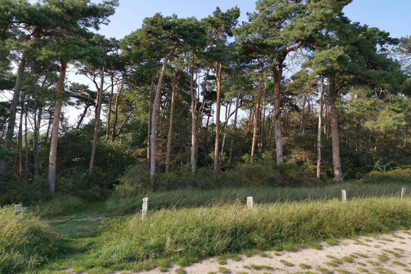 8 person holiday home in Idestrup-Untagged