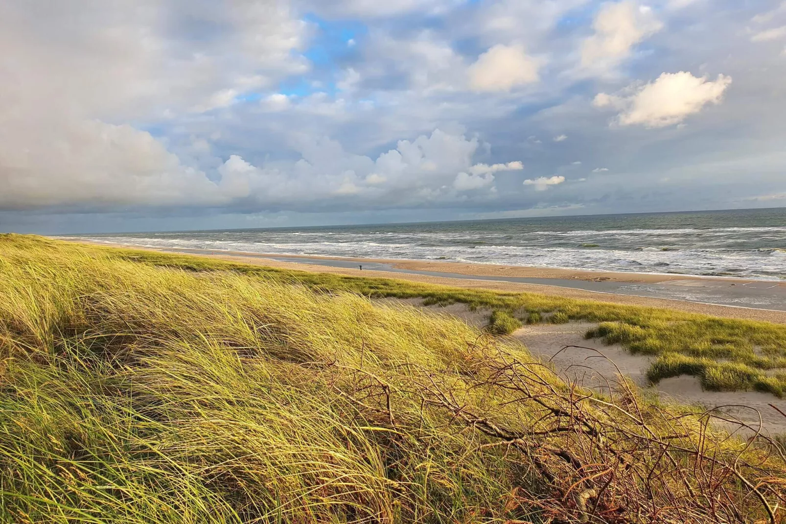 Bright Dune View Cottage-By Traum-Water view