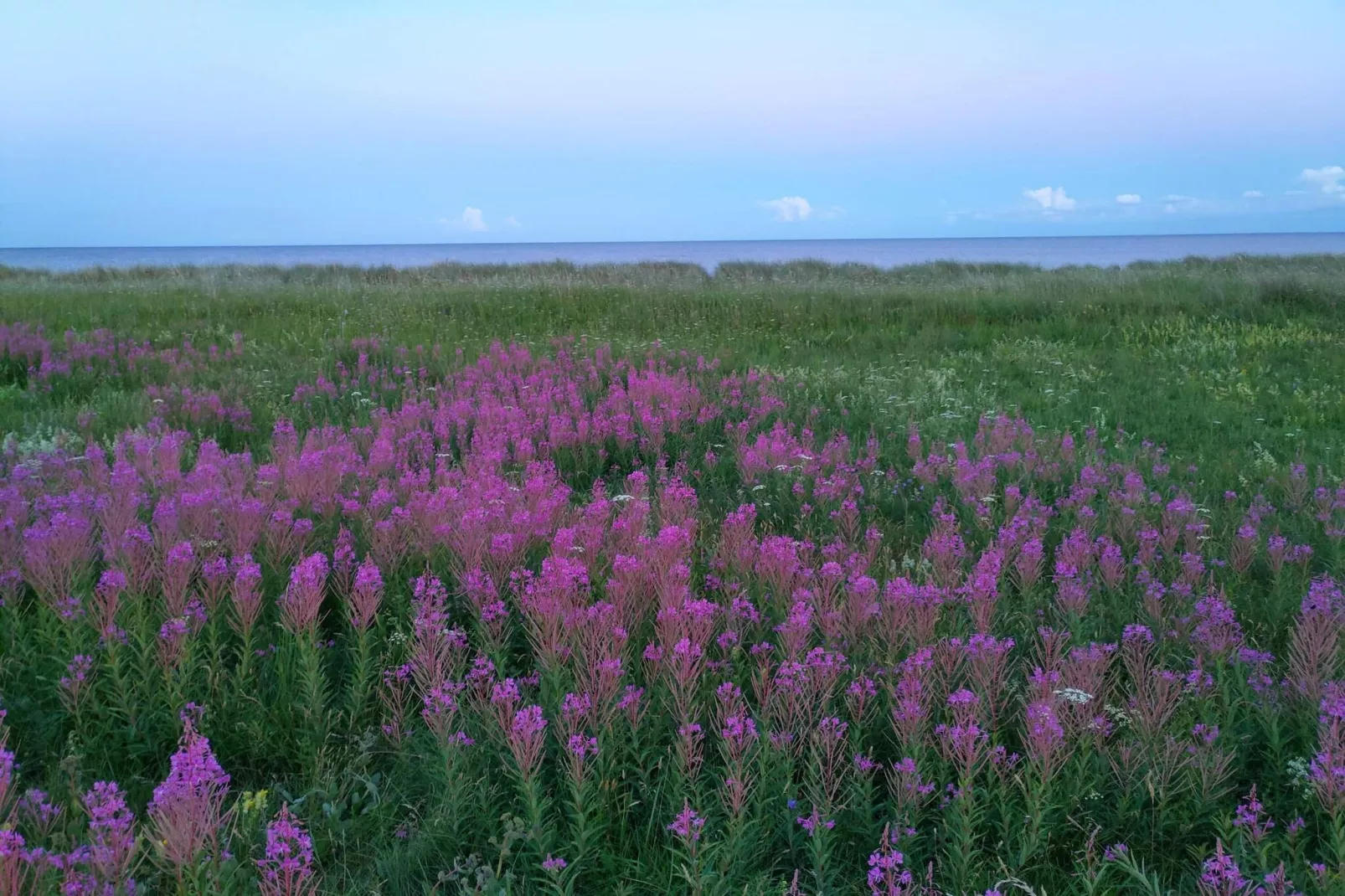 Seaside Serenity in Marielyst-Untagged