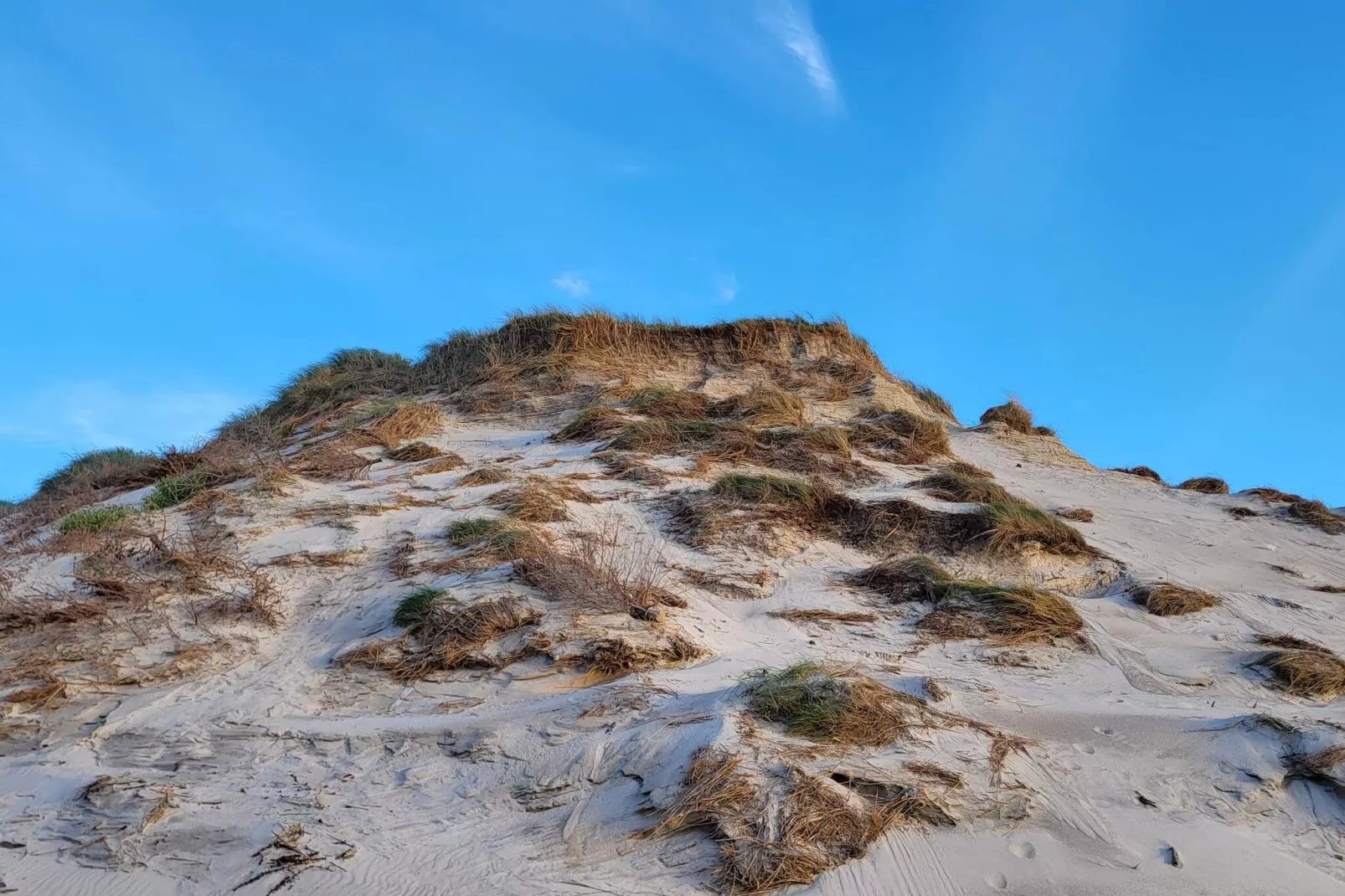 Cozy Dune Cottage Retreat-By Traum-Untagged