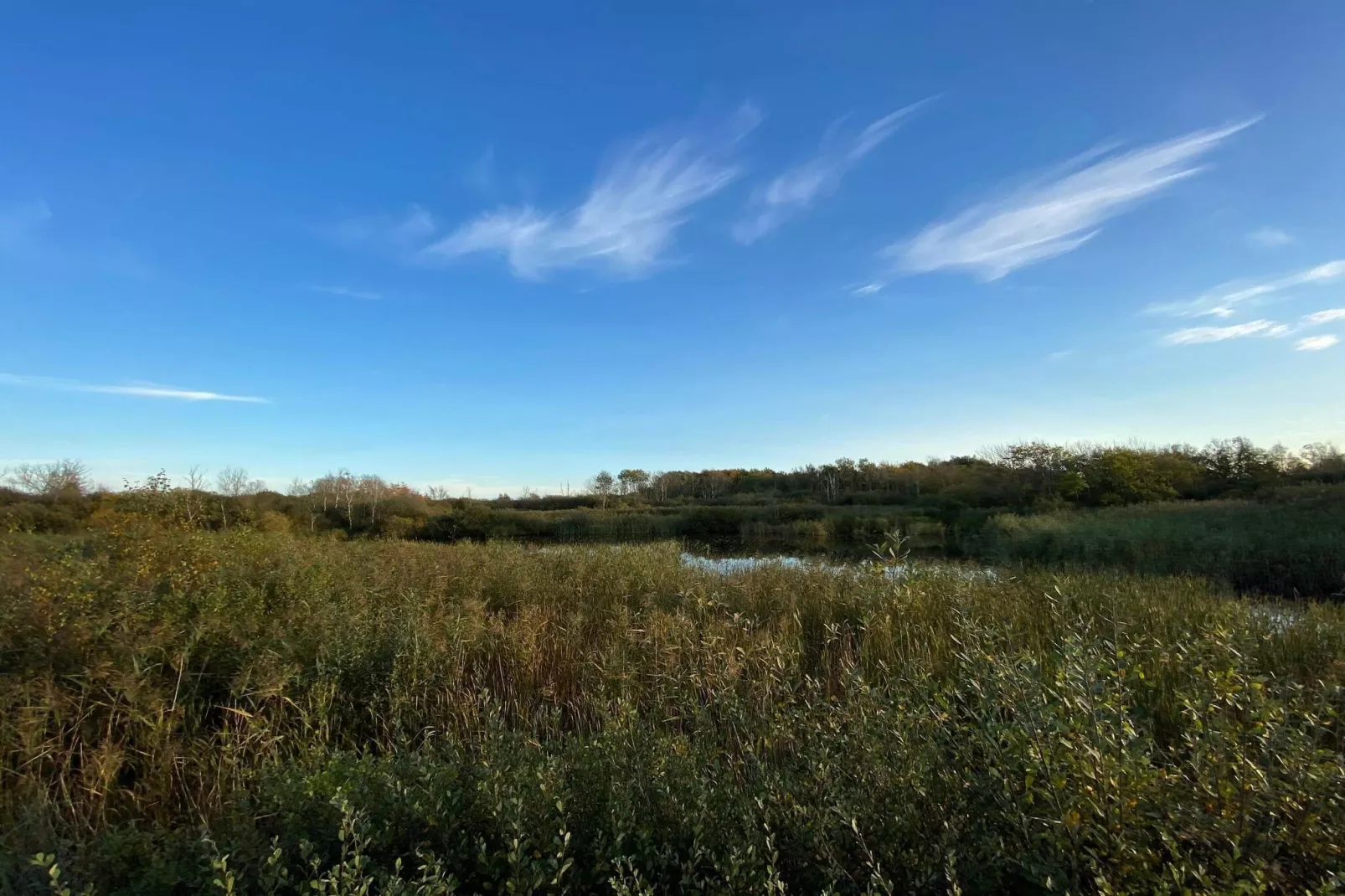 Maison de vacances pour 6 a Bredebro-Non tagué