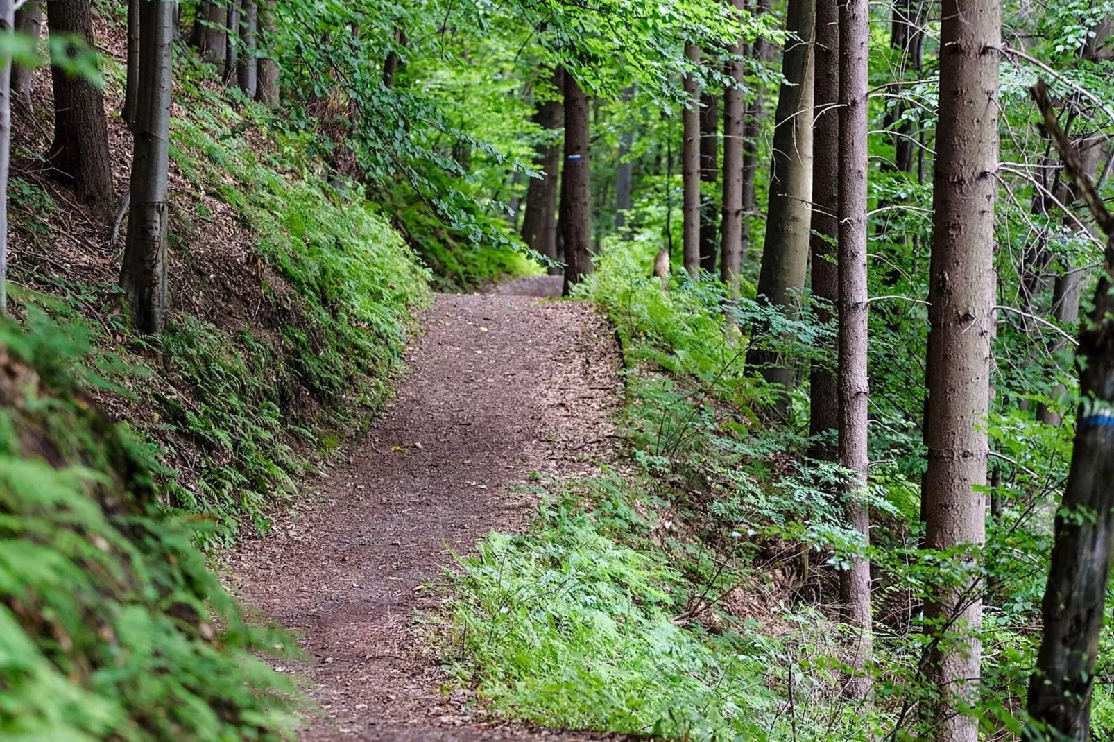 Seafront Holiday Home by Gullmarsfjord-Untagged