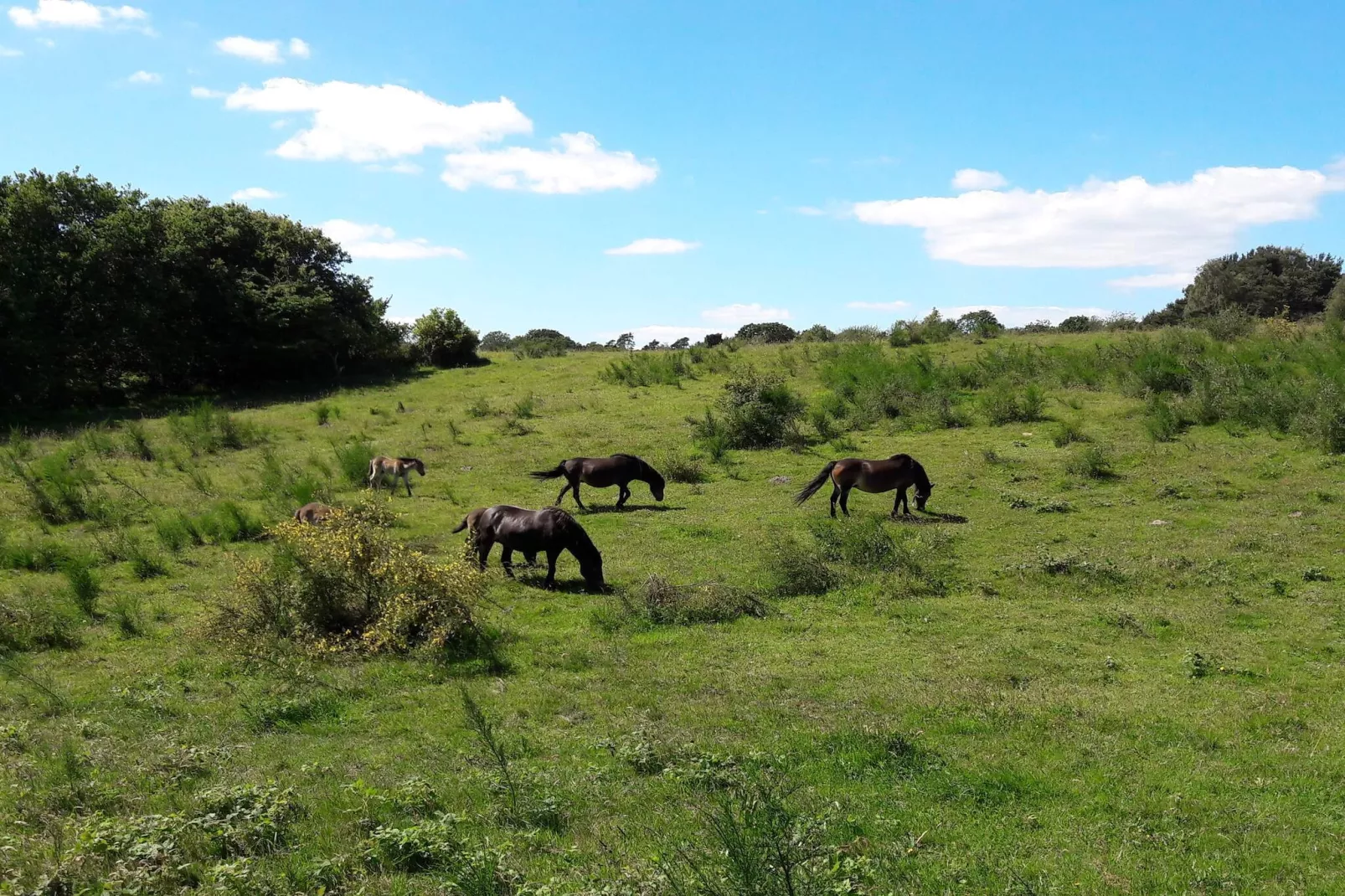 Maison de vacances pour 6 a Ebeltoft-Non tagué