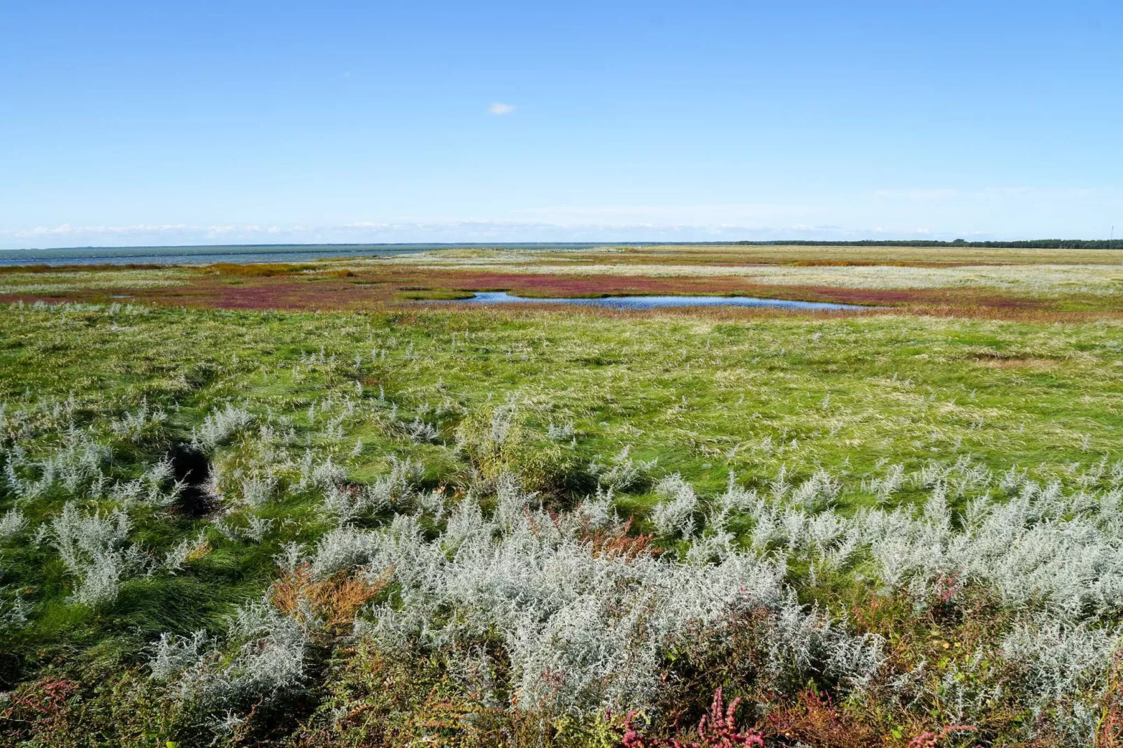 Maison de vacances pour 6 a Læsø-Non tagué