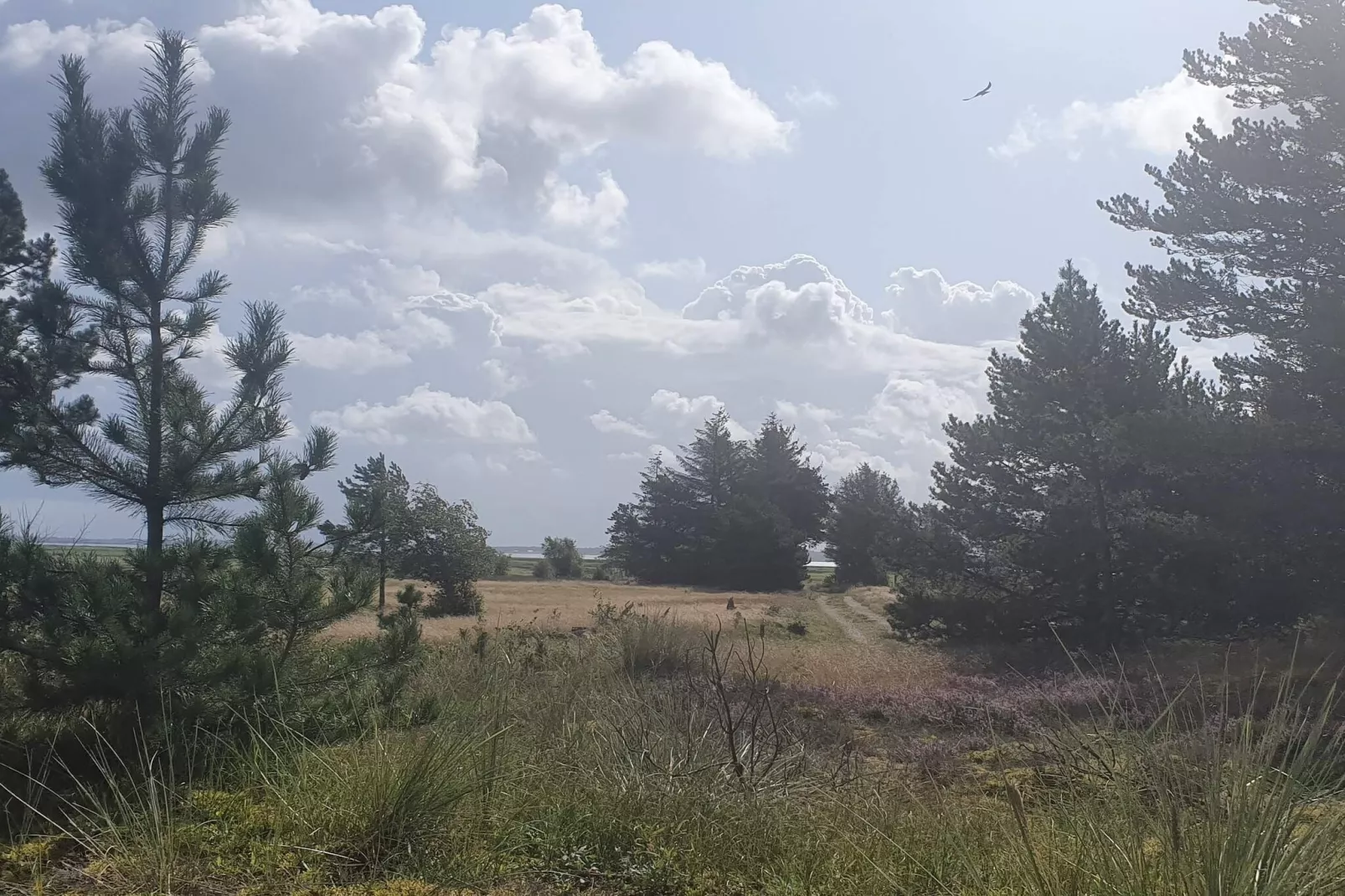 4 person holiday home in Oksbøl-Untagged