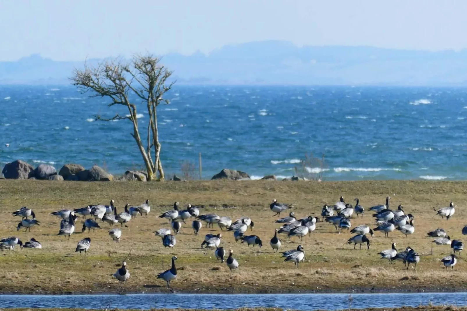 12 person holiday home in Millinge-Water view