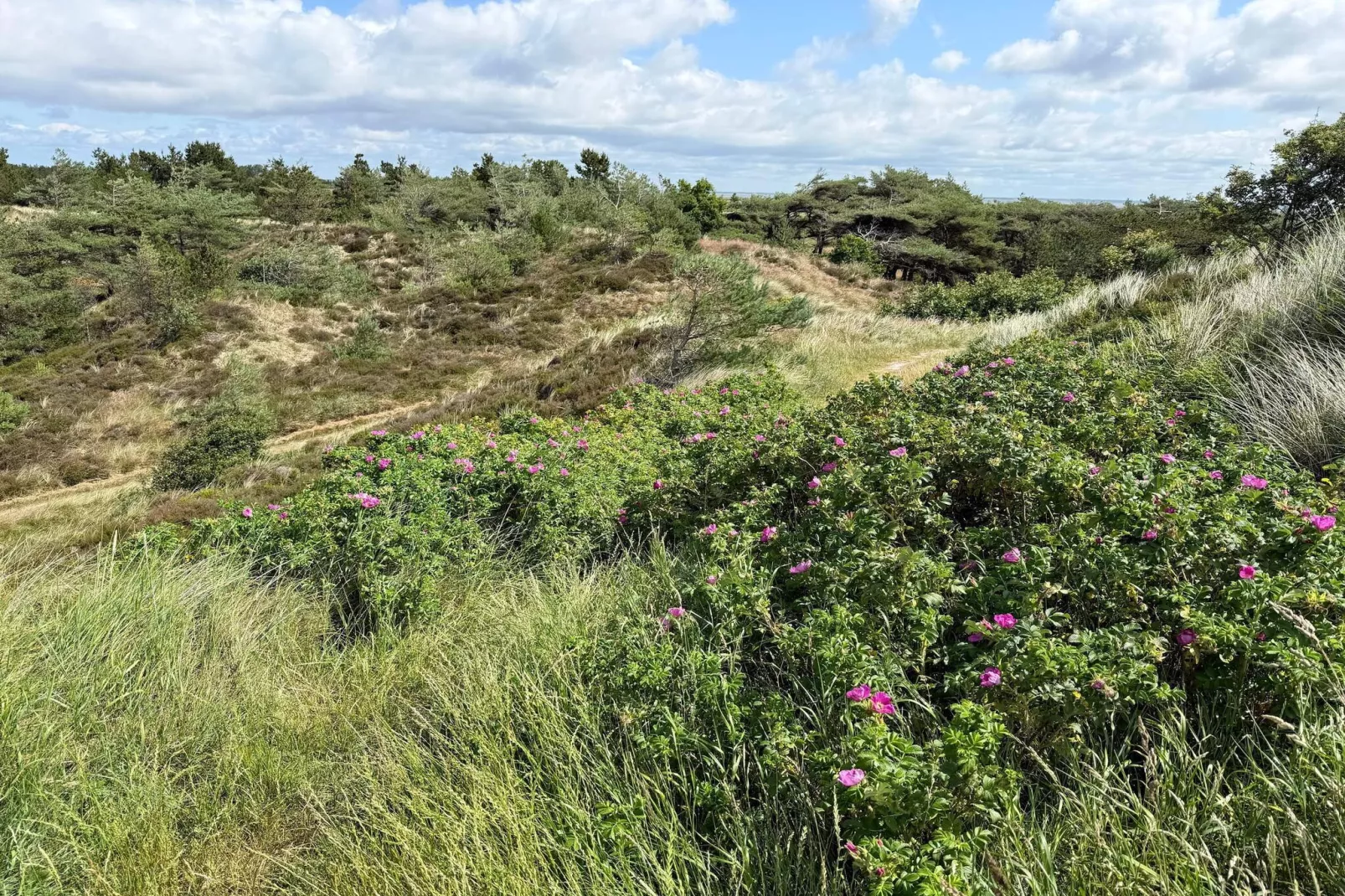 5 person holiday home in Rømø
