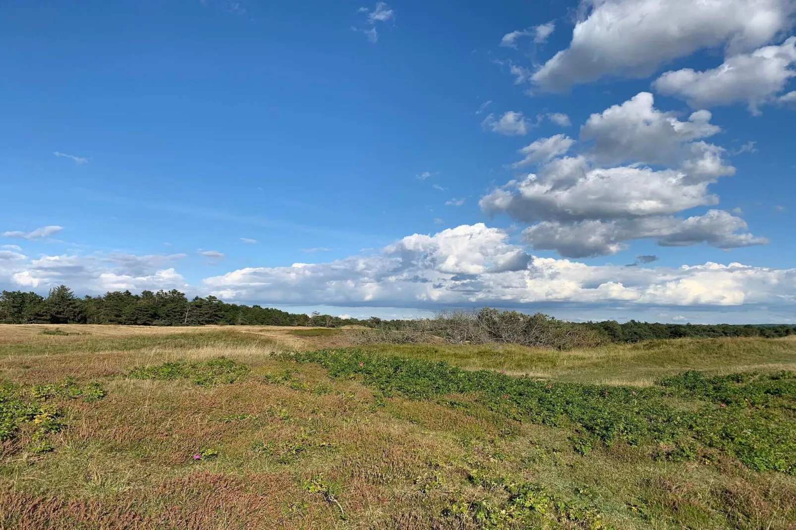 14 person holiday home in Vejby-Untagged