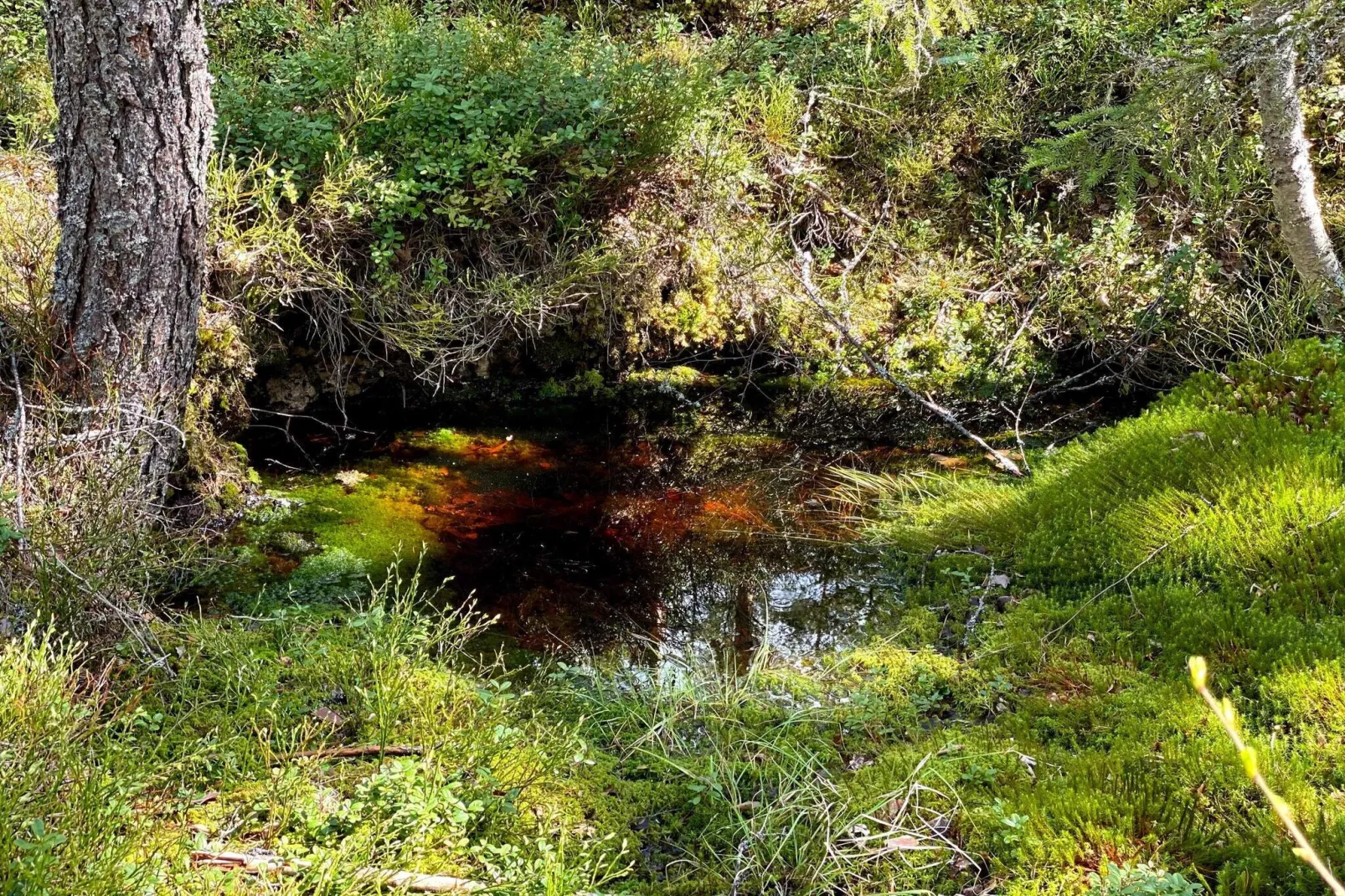 Maison de vacances pour 6 a KOPPARBERG-By Traum-Vue sur l'eau