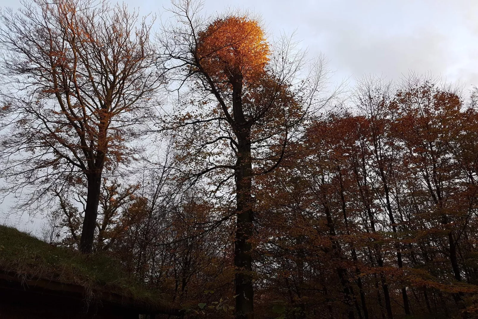 4 person holiday home in Børkop-By Traum-Untagged