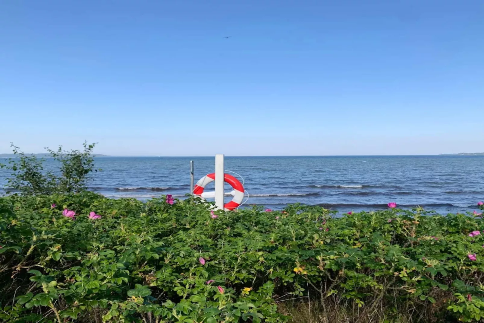 Secluded Haven in Hvidbjerg - By Traum Ferienwohnungen-Water view