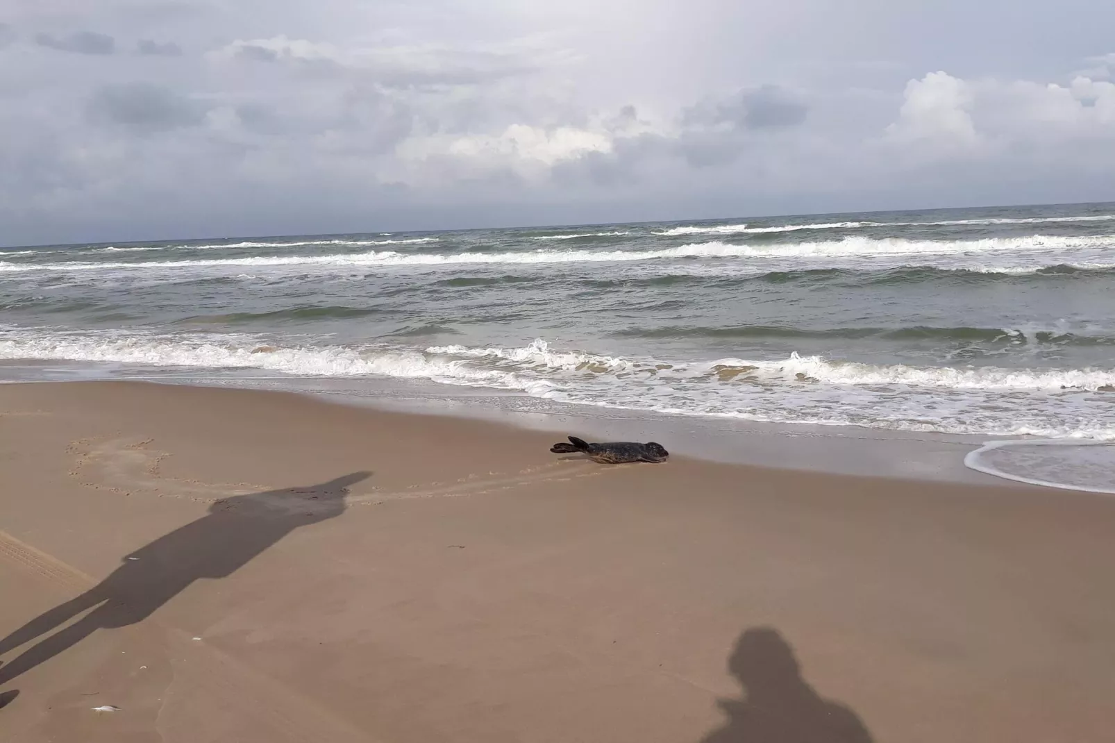 Maison de vacances pour 7 a Hjørring-By Traum-Vue sur l'eau