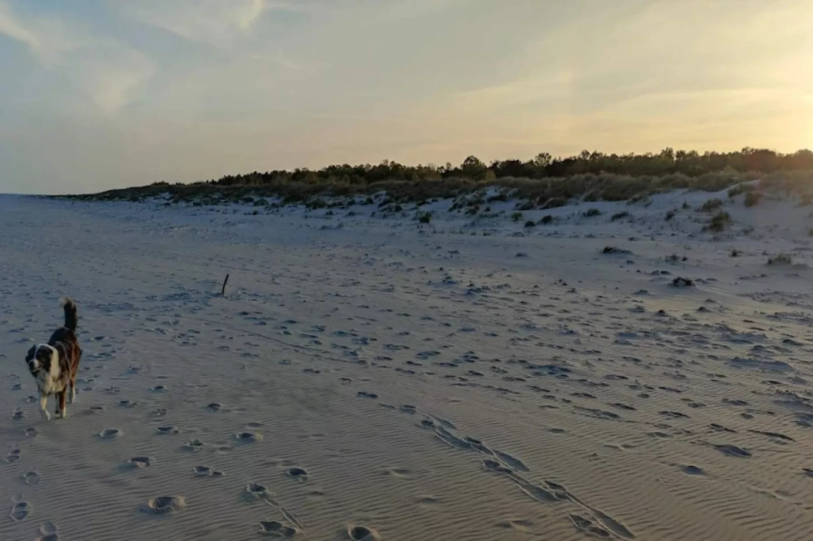 6 person holiday home in Löderup-By Traum-Untagged