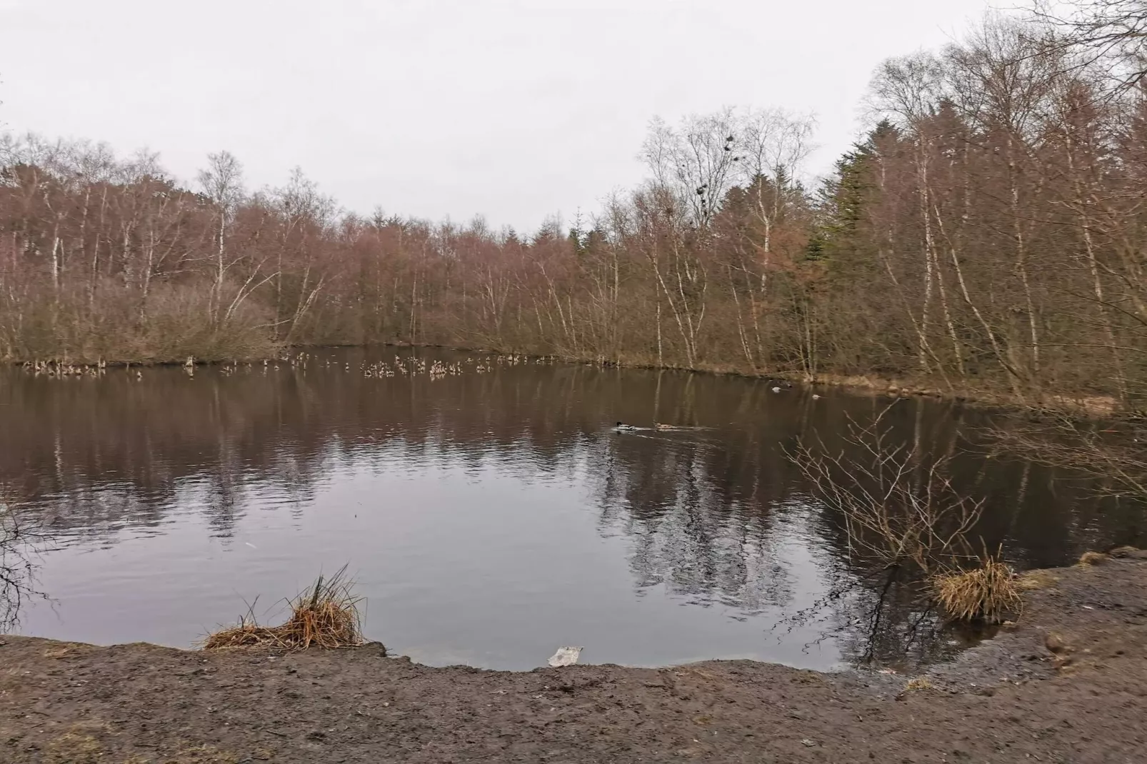 8 Personen Ferienhaus in Ålbæk-By Traum-Wasserblick