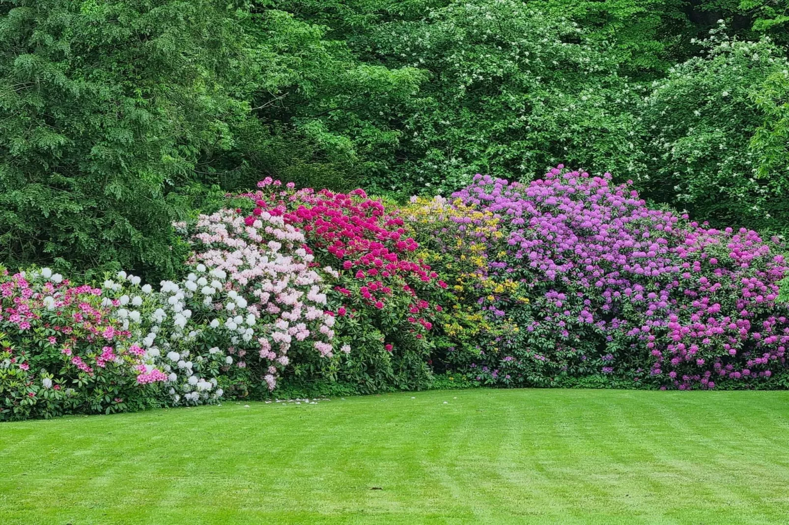 5 person holiday home in Højer-By Traum-Untagged