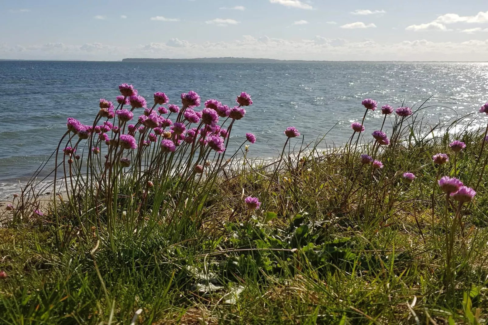4 Personen Ferienhaus in Nykøbing M-By Traum-Wasserblick