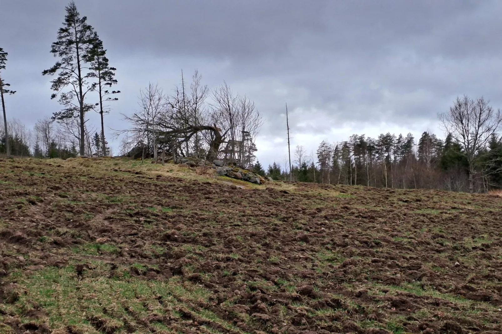 4 person holiday home in VETLANDA-By Traum-Untagged