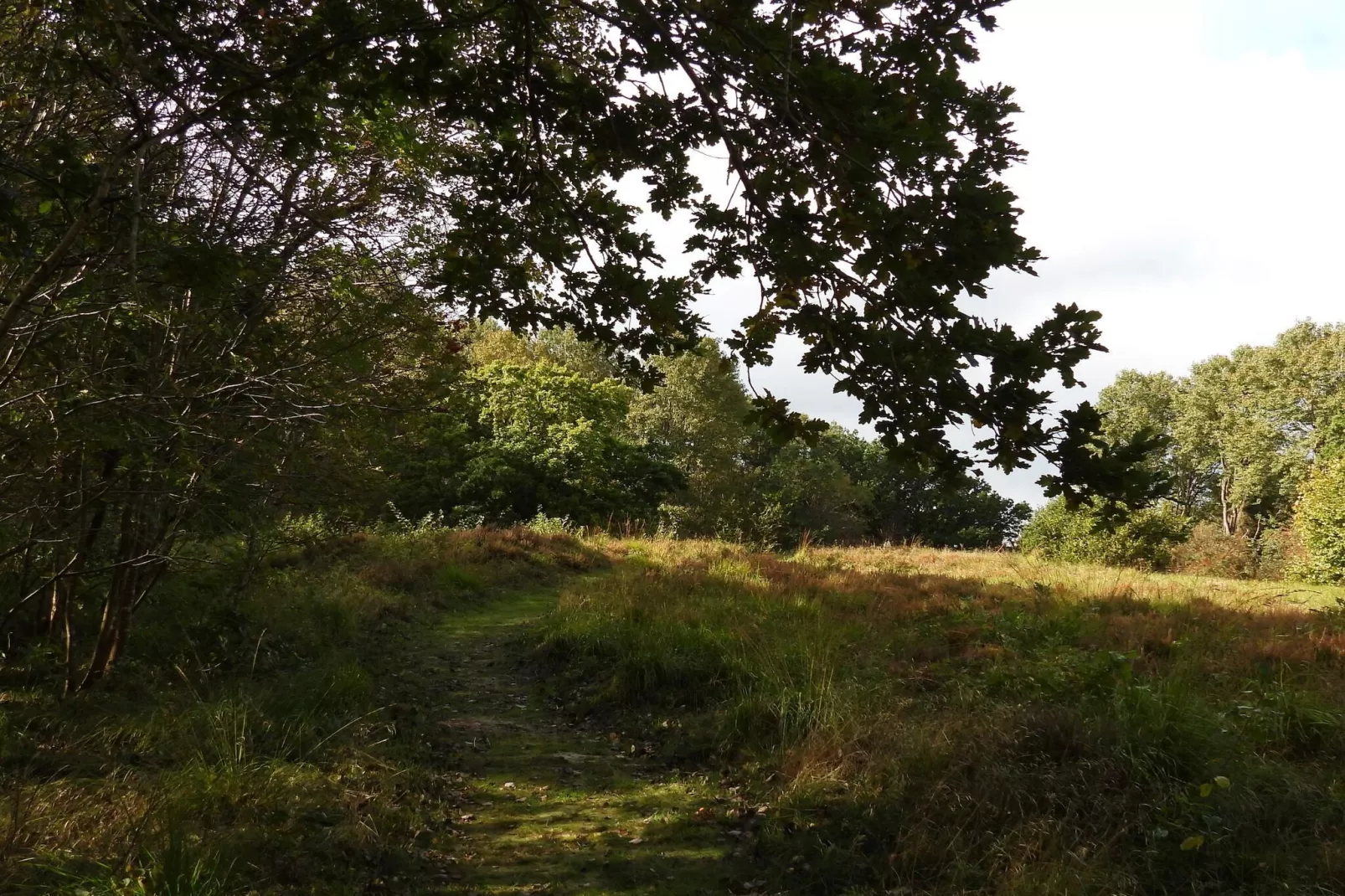 Maison rustique avec cheminée-Non tagué