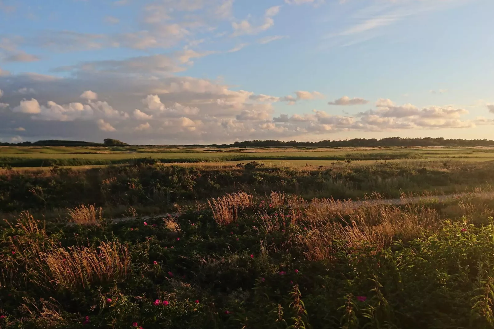 Pet-friendly Rømø Getaway Apartment-Untagged