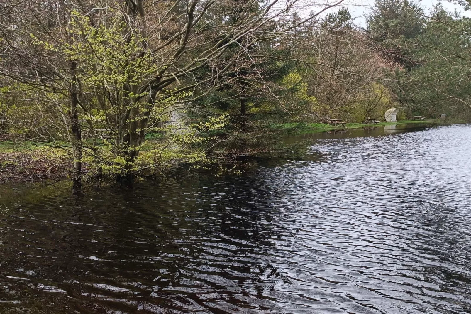 6 Personen Ferienhaus in Oksbøl-By Traum