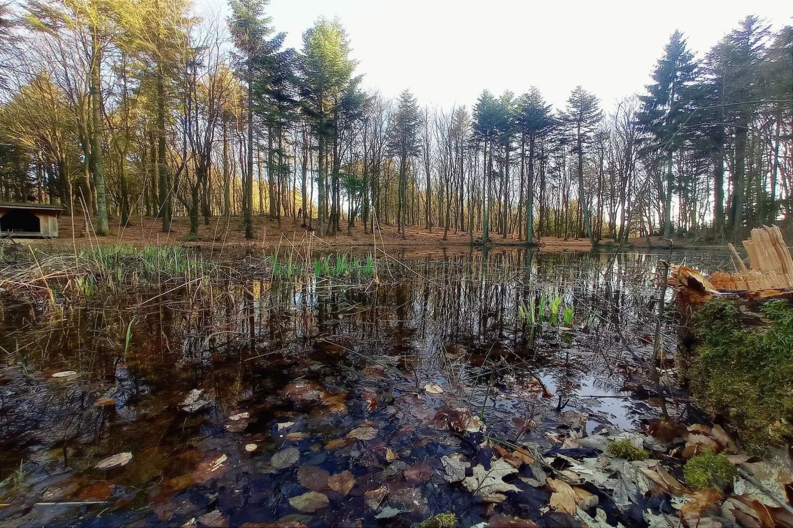 8 person holiday home in Vestervig-By Traum