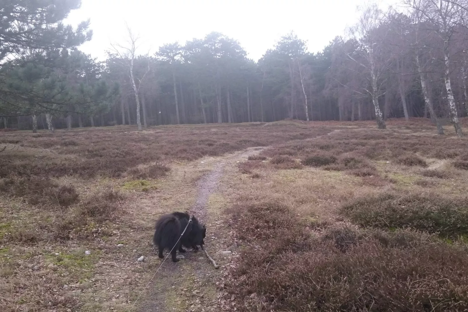 Seaside Escape in Praesto - By Traum Ferienwohnungen-Untagged