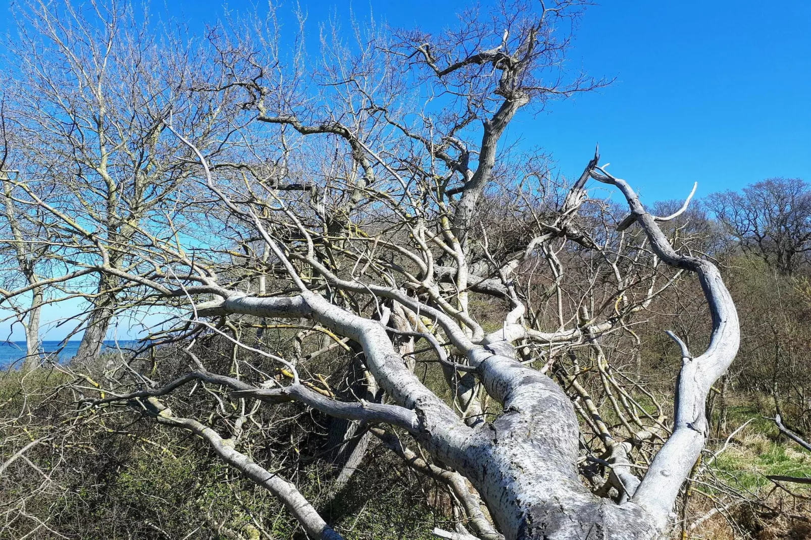 Villa de luxe avec piscine a Lohals -- By Traum Ferienwohnungen-Non tagué