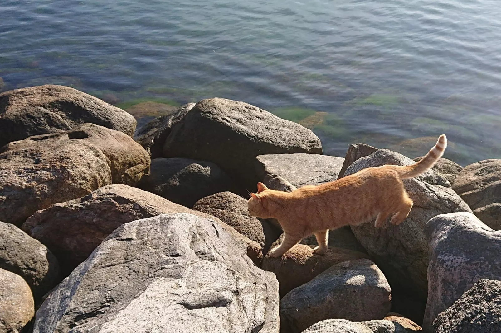 4 Personen Ferienhaus in Karrebæksminde-By Traum