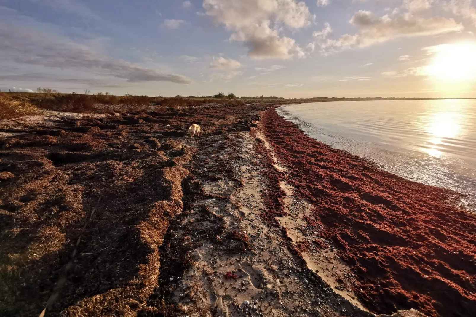 6 person holiday home in Dannemare-By Traum-Water view