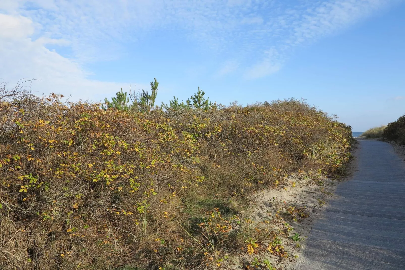 5 person holiday home in Strandby-By Traum-Untagged