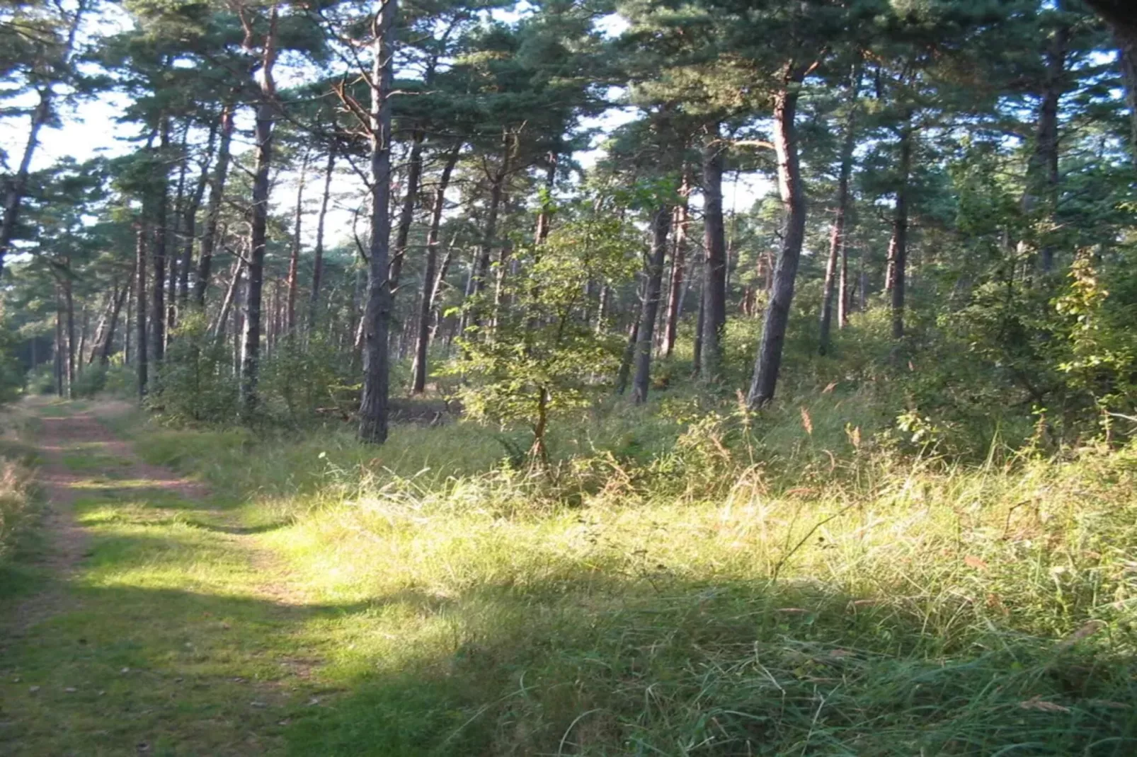 Maison de vacances pour 11 a Væggerløse-By Traum-Non tagué