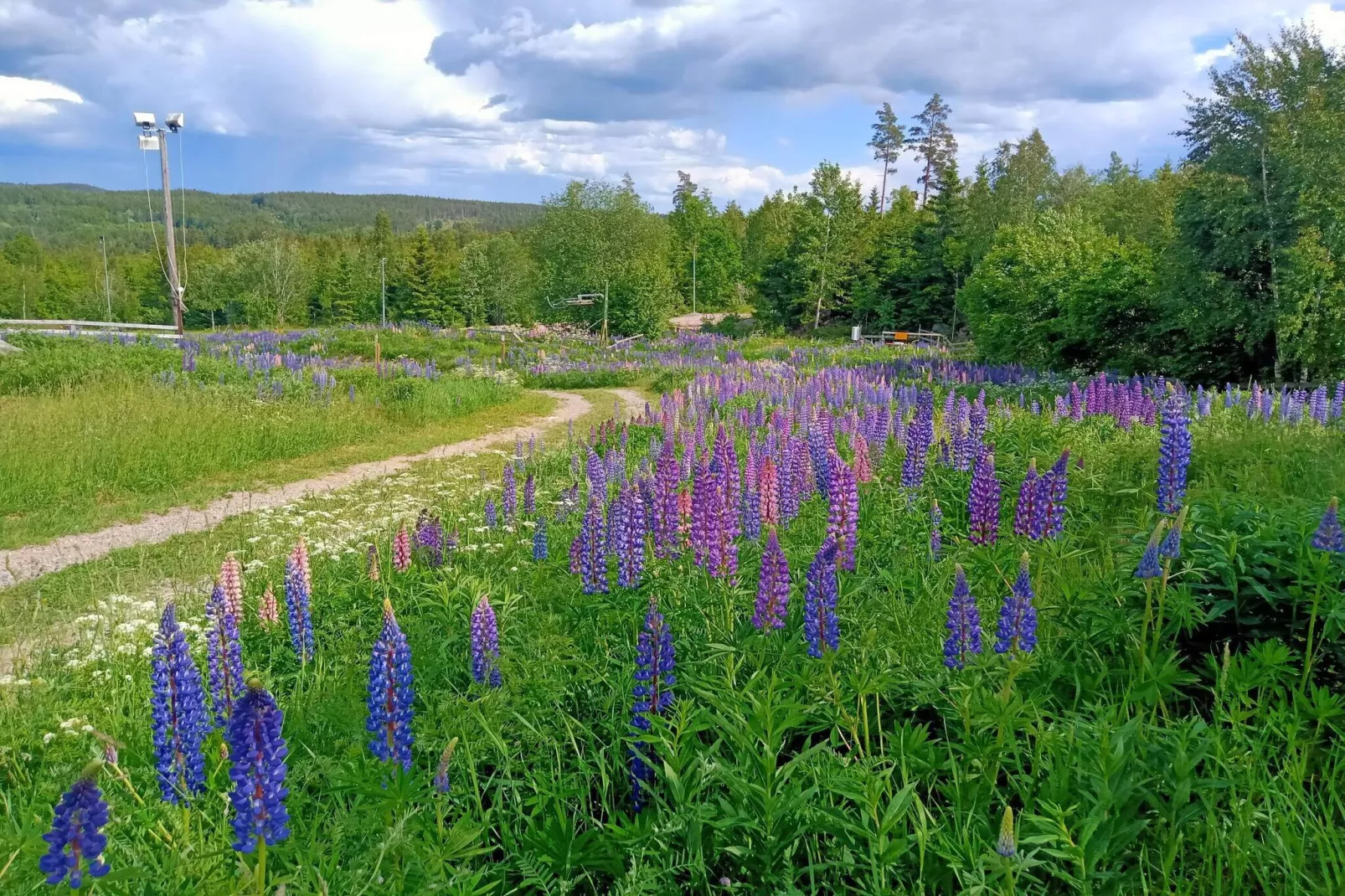 7 Personen Ferienhaus in VIRSERUM-By Traum-Nicht zugeordnet