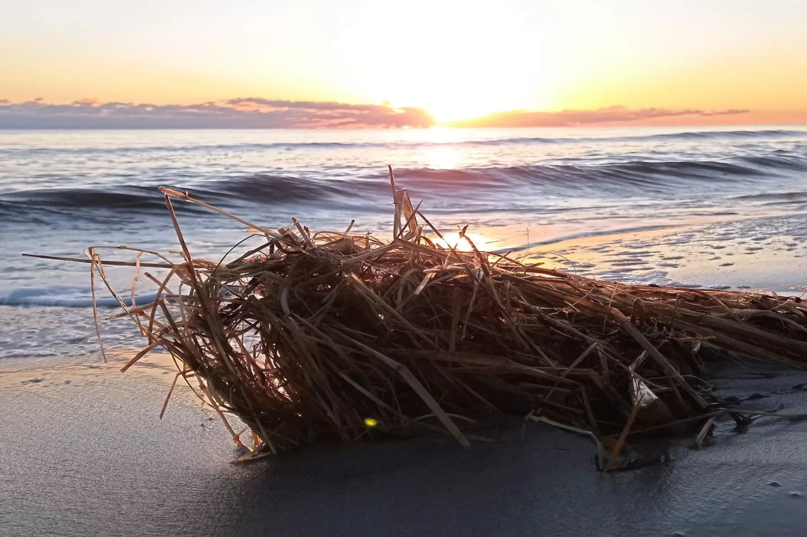 Maison de vacances pour 4 a Hals-By Traum-Vue sur l'eau