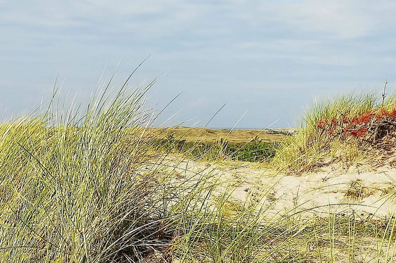 6 person holiday home in Ulfborg-By Traum-Untagged