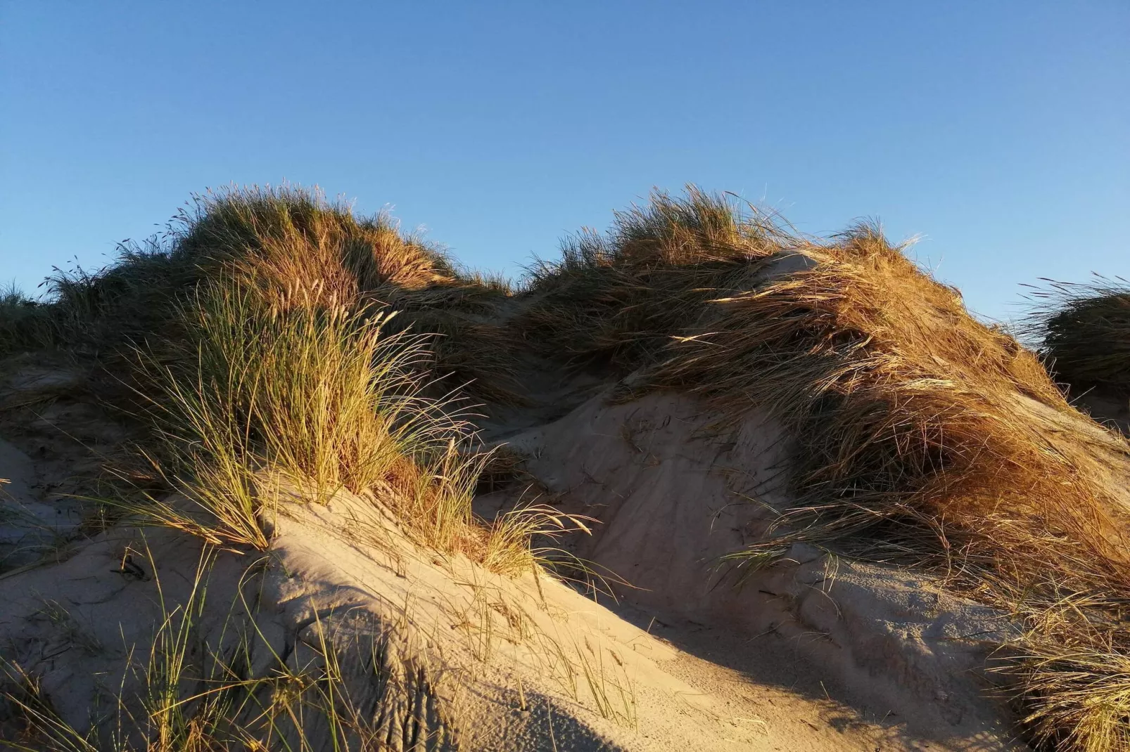 Maison de vacances pour 6 a Ringkøbing-By Traum-Non tagué