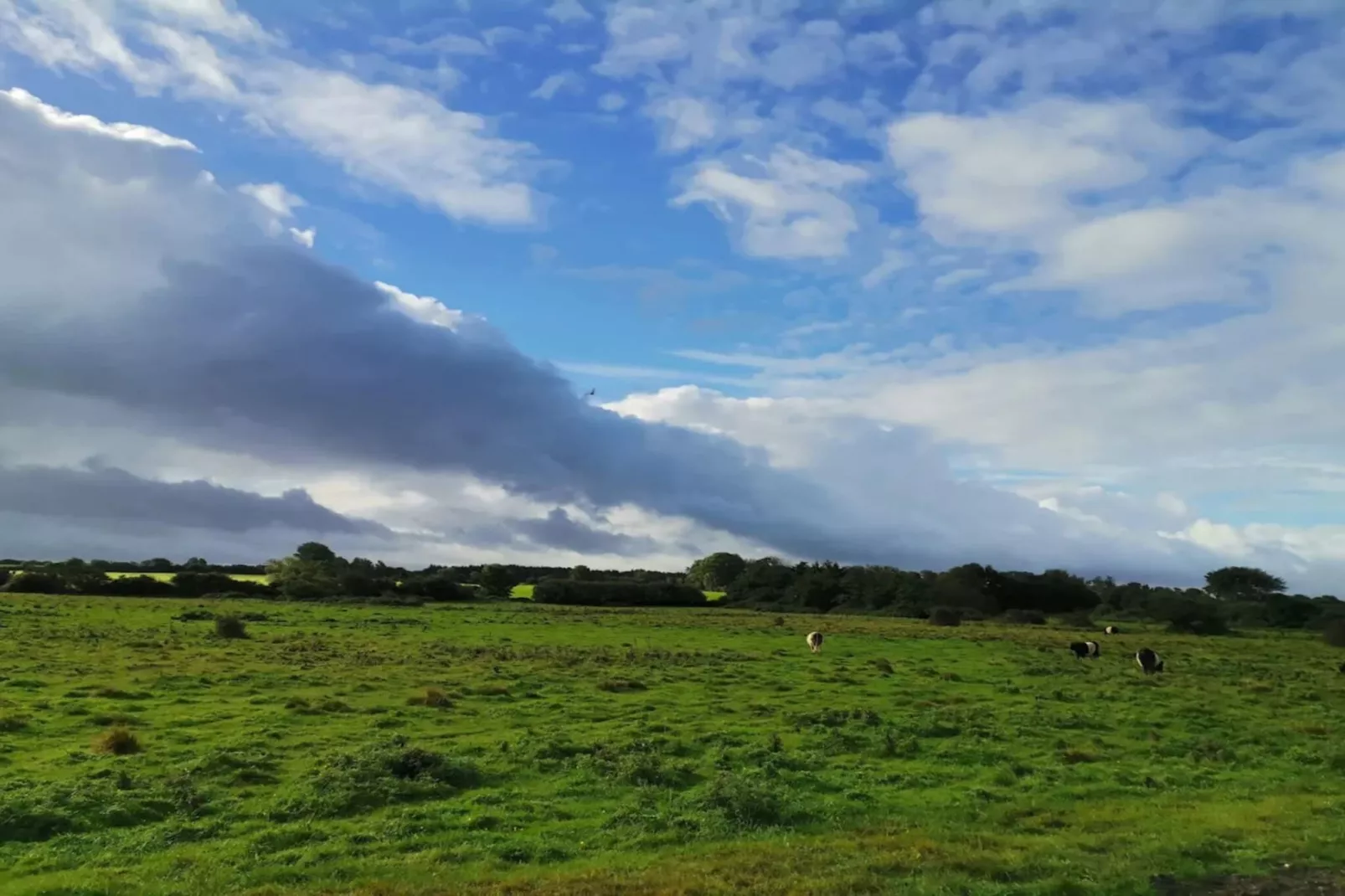 Retraite de luxe avec piscine -- By Traum Ferienwohnungen-Non tagué