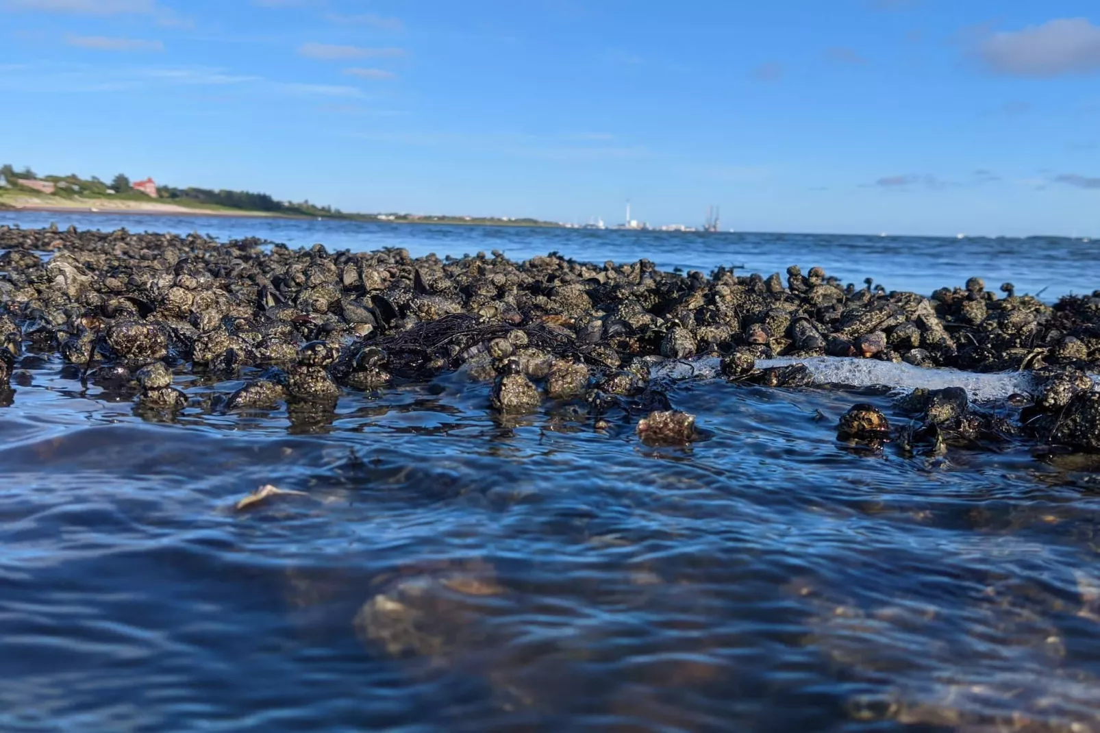 3 Personen Ferienhaus in Esbjerg V-By Traum-Wasserblick