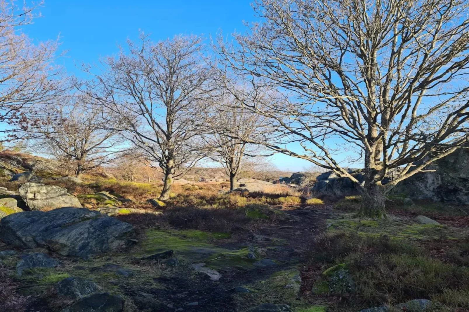 4 Personen Ferienhaus in KYRKESUND-By Traum-Nicht zugeordnet