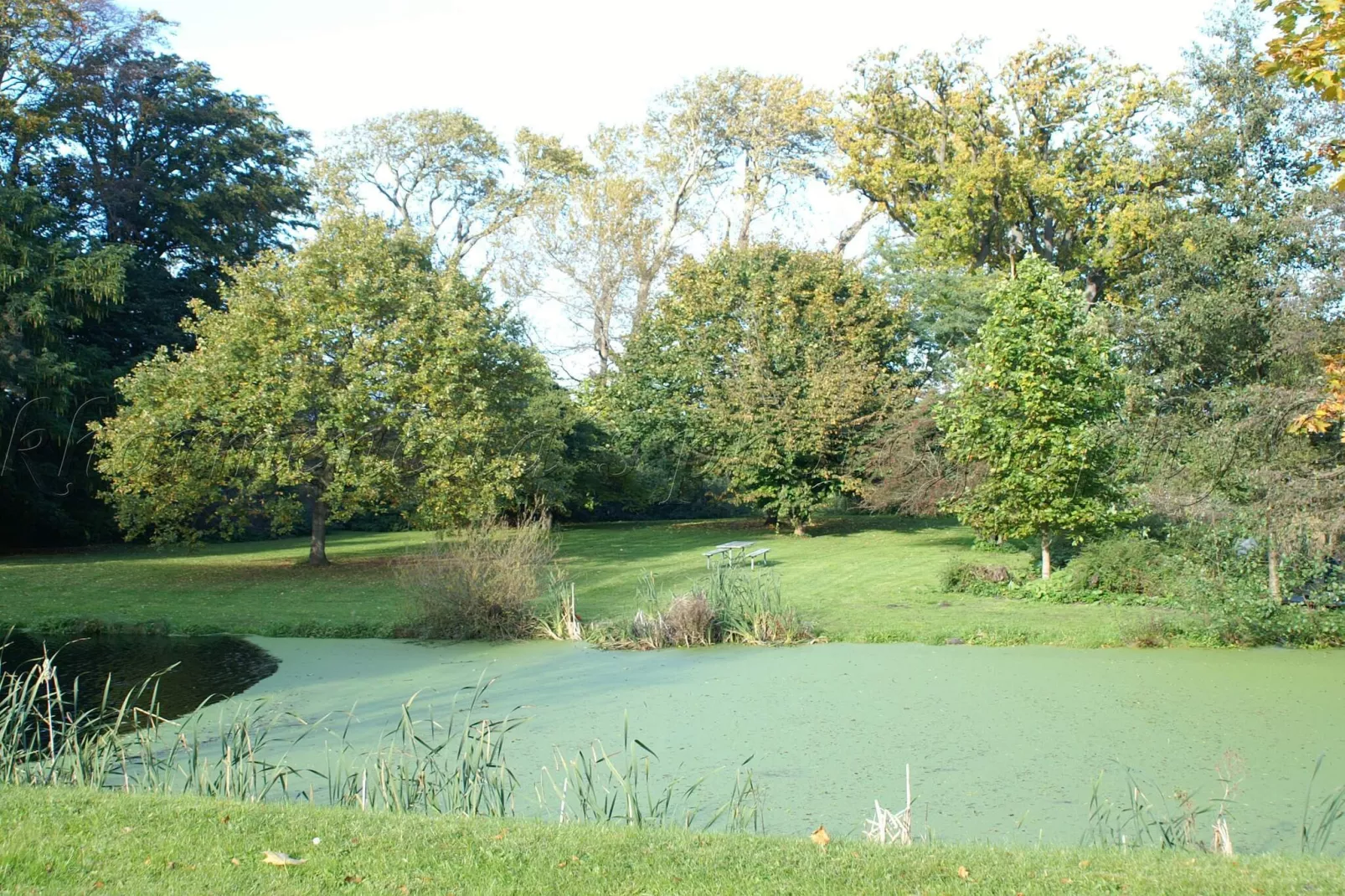 Maison de vacances pour 4 a Rudkøbing-By Traum-Vue sur l'eau