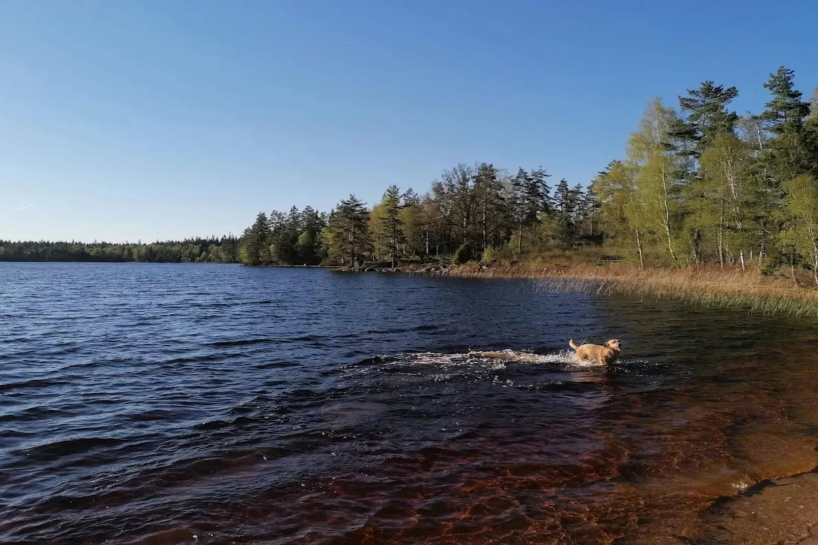 7 Personen Ferienhaus in BRUZAHOLM-By Traum-Wasserblick