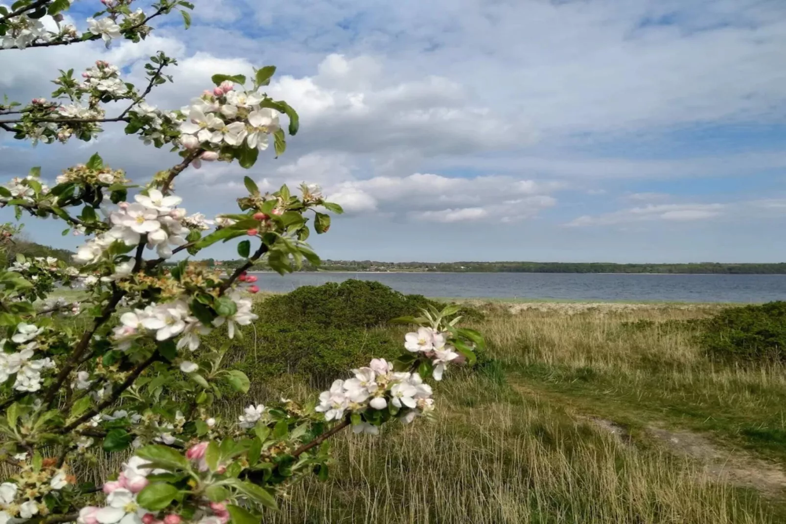 10 person holiday home in Rønde-By Traum-Water view