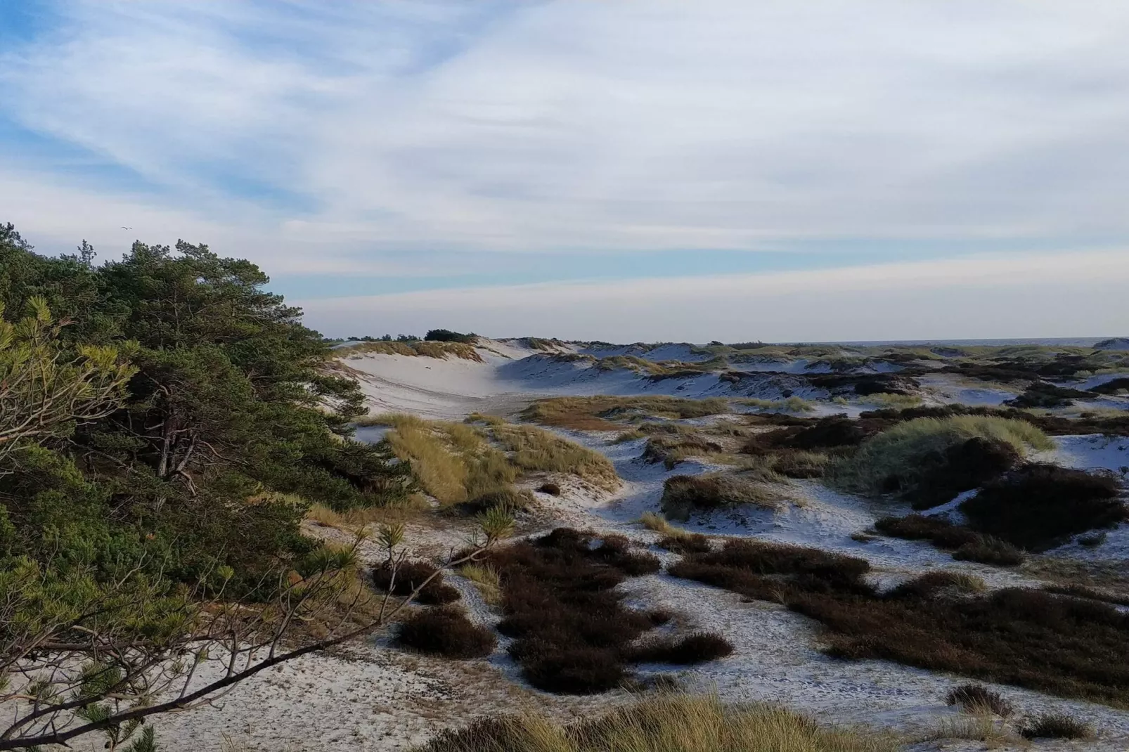 Modern Cottage near Beach - By Traum Ferienwohnungen-Untagged