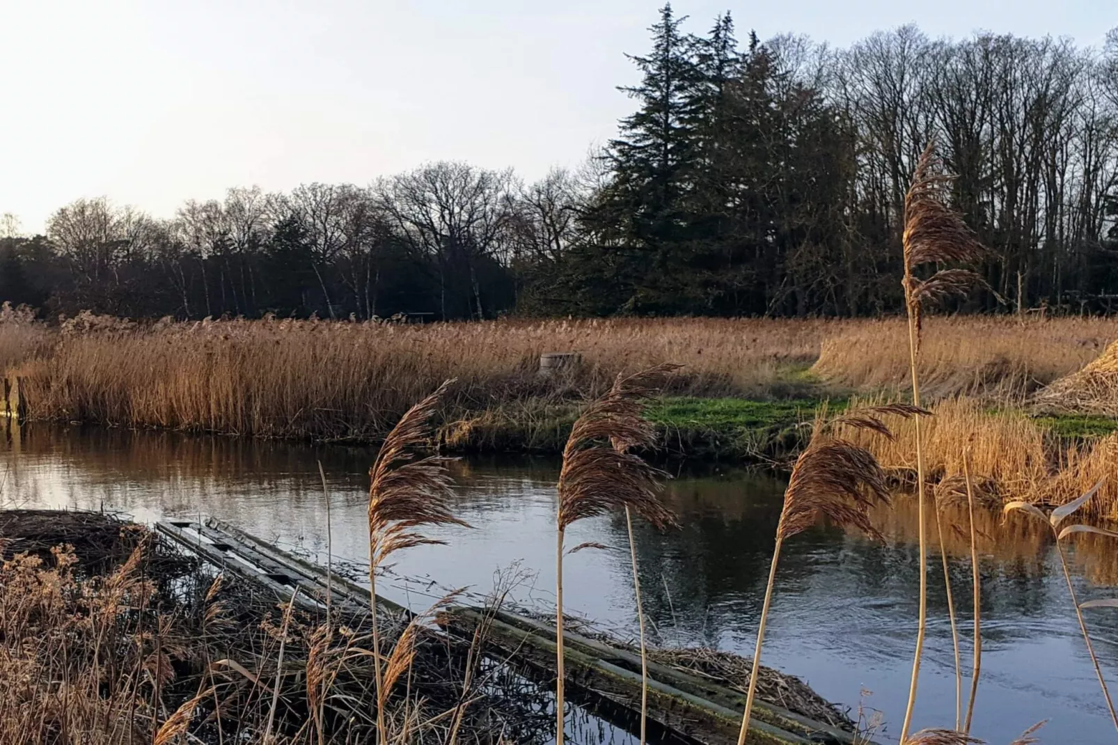 6 person holiday home in Store Fuglede-By Traum-Water view