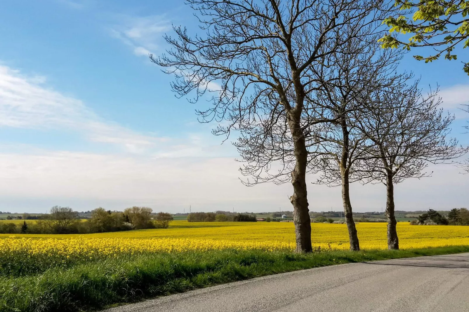 6-Person Home in Eskebjerg-By-Water view