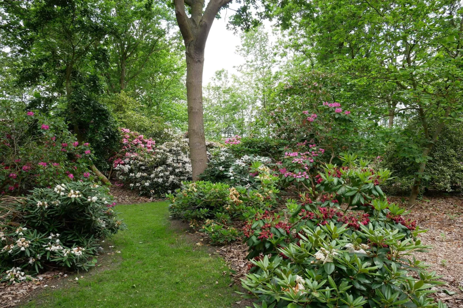 4 Personen Ferienhaus in Nakskov-By Traum-Nicht zugeordnet