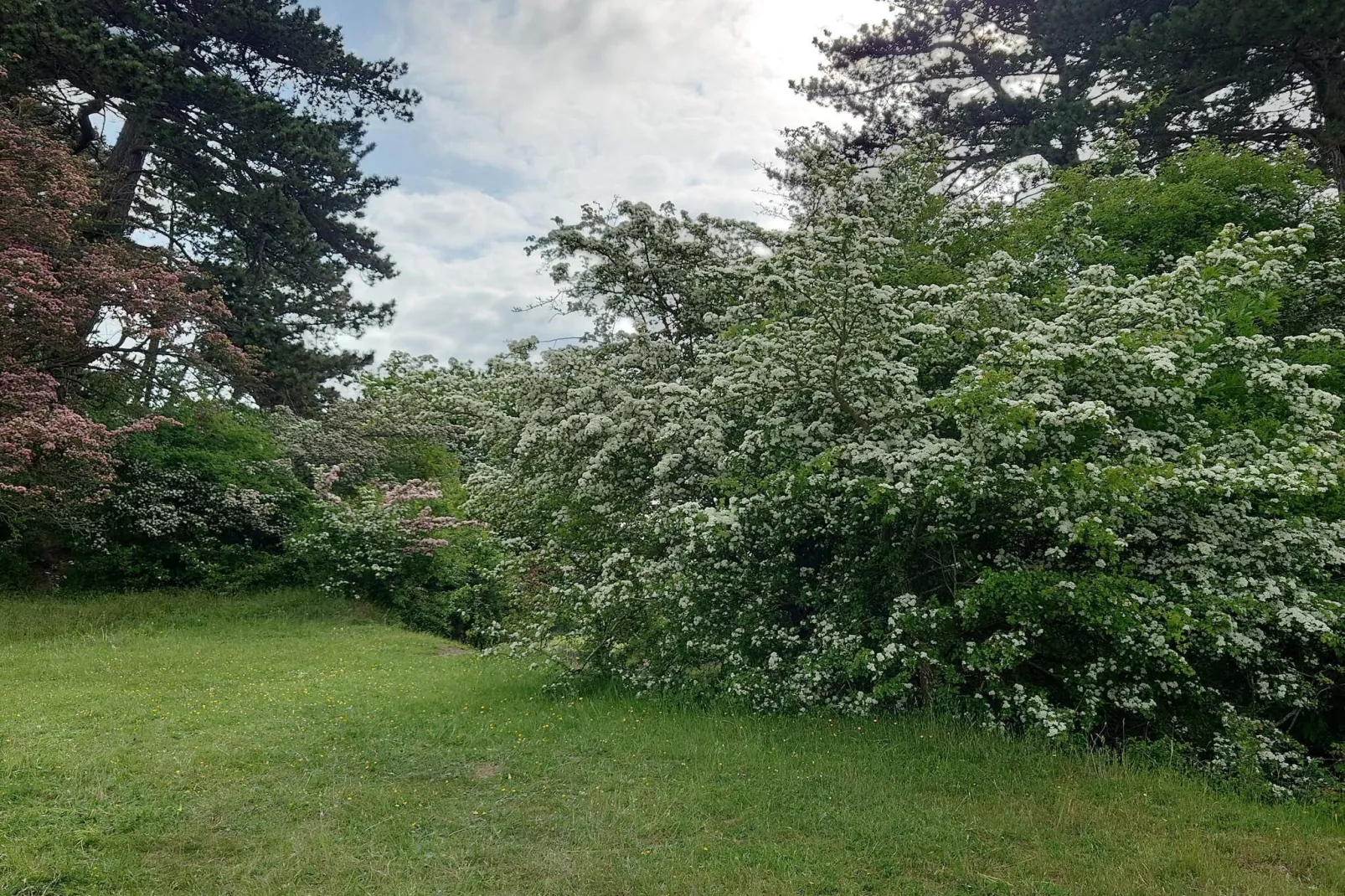 Maison de vacances pour 9 a Skibby-Non tagué